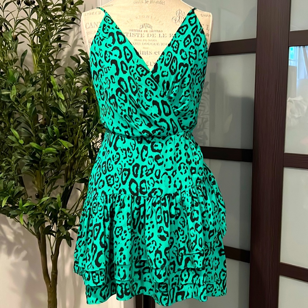 WAYF Leopard Teal Dress